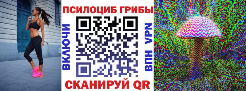 hydra как войти  Нефтегорск  Псилоцибиновые грибы Cubensis 